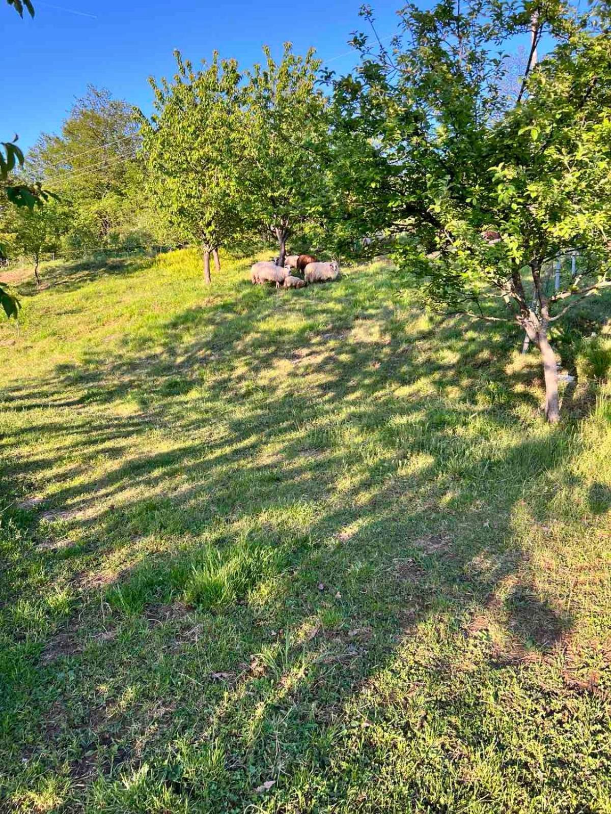 Holiday Home Manda Tounj Zewnętrze zdjęcie